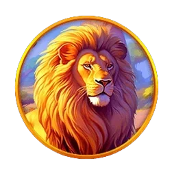 Lion
Safari